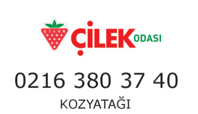 Çilek Odası Kozyatağı