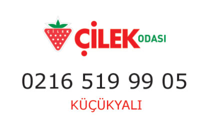 Çilek Odası Küçükyalı